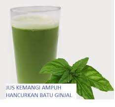 Apakah ada obat herbal batu ginjal yang ampuh Dan Aman