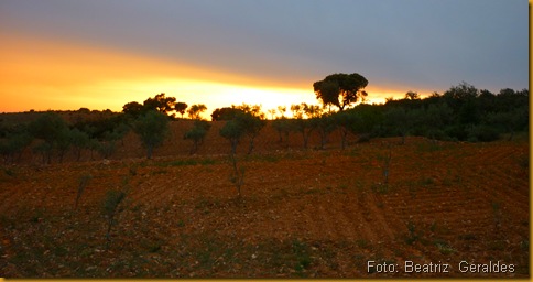 Por do sol voltando da freixeda (clique para aumentar)
