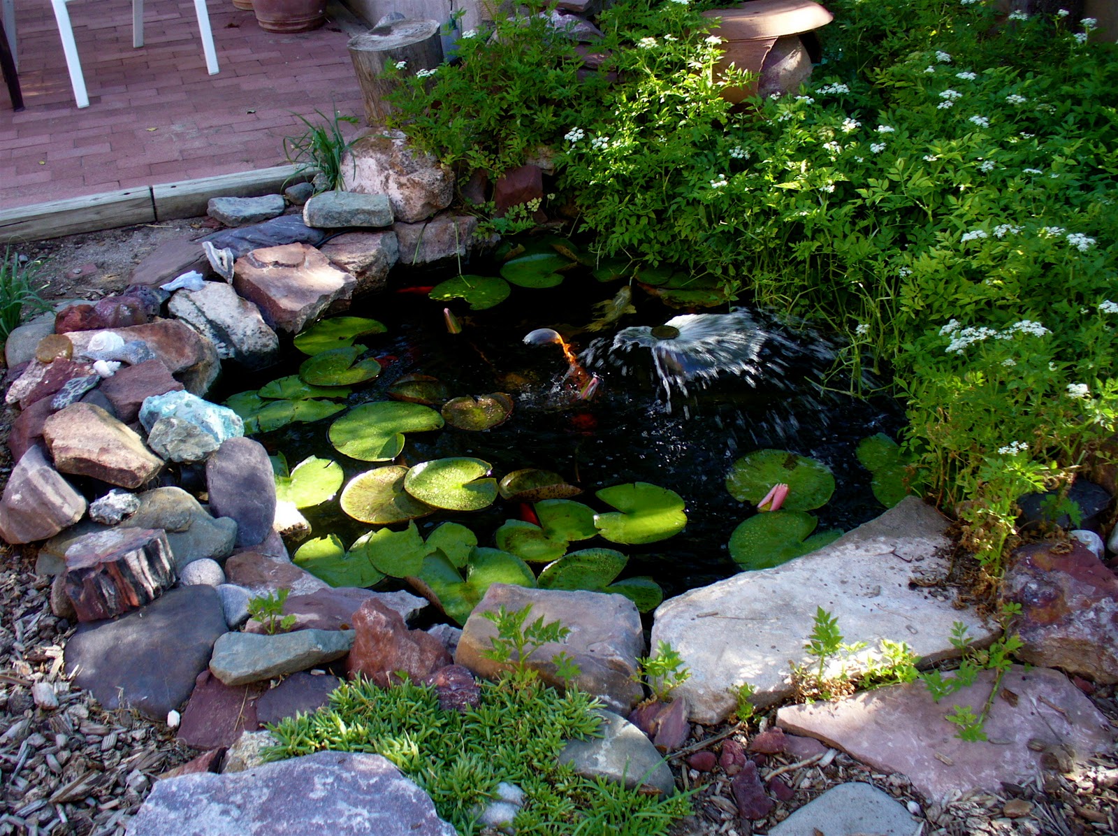 Alt. Build Blog: A Small Backyard Pond