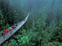 “Ekstrim” Jembatan Capilano Vancouver, Rasakan Tantangan yang Menakjubkan