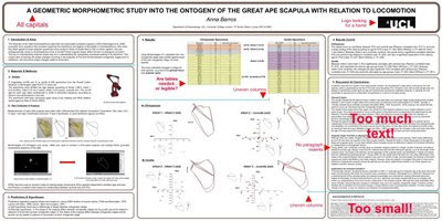 Ape scapula poster critique