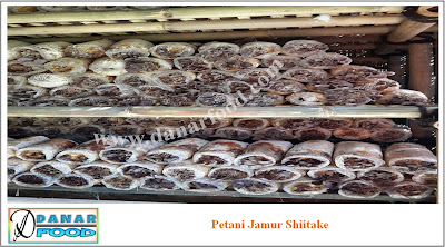 Jamur Shiitake Semarang, Cara Menanam Jamur Shiitake Semarang, Kaldu Jamur Shiitake Semarang, Resep Masakan Jamur Shiitake Semarang, Cara Budidaya Jamur Shiitake Semarang, Resep Jamur Shiitake Semarang, Harga Jamur Shiitake Semarang, Aneka Olahan Jamur Shiitake Semarang, Aneka Resep Masakan Jamur Shiitake Semarang, Usaha Bibit Jamur Shiitake Semarang, Budidaya Jamur Shiitake Semarang, Panduan Budidaya Jamur Shiitake Semarang, Supplier Jamur Shiitake Kering Semarang, Berbisnis Budidaya Jamur Shiitake Semarang, Peluang Wirausaha Budidaya Jamur Shiitake Semarang, Sukses Berbisnis Jamur Shiitake Semarang, Harga Jamur Shiitake Kering Semarang, Peluang Usaha Budidaya Jamur Shiitake Semarang, Bibit Jamur Shiitake Semarang, Jual Bibit Jamur Shiitake Semarang, Harga Jamur Shiitake Per Kilo Semarang, Pusat Bibit dan Pelatihan Budidaya Jamur Shiitake Semarang, Petunjuk Teknis Budidaya Jamur Shiitake Semarang, Pusat Pelatihan Budidaya Jamur Shiitake Semarang, Baglog Jamur Shiitake Semarang, Jual Jamur Shiitake Kering Semarang, Bisnis Jamur Shiitake Semarang, Jual Jamur Shiitake Import Semarang, Jual Jamur Shiitake Murah Semarang, Jual Bibit dan Baglog Jamur Shiitake Semarang, Jual Baglog Jamur Shiitake Semarang, Harga Buku Jamur Shiitake Semarang, Kaldu Jamur Shiitake Organik Semarang, Kaldu Jamur Shiitake Non MSG Semarang, Jual Kaldu Jamur Shiitake Semarang, Kaldu Jamur Shiitake Halal Semarang, Usaha Jamur Shiitake Semarang, Kaldu Jamur Shiitake Sehat Semarang, Kemitraan Bisnis Jamur Shiitake Semarang, Kendala Budidaya Jamur Shiitake di Semarang, Jamur Shiitake Kering Semarang, Jual Baglog Jamur Shiitake Siap Panen Semarang, Tips Budidaya Jamur Shiitake di Semarang, Jual Beli Jamur Shiitake Semarang, Supplier Jamur Shiitake Semarang, Harga Bibit Jamur Shiitake Semarang, Jual Jamur Shiitake Murah Semarang, Jamur Shiitake Segar dan Kering Semarang, Distributor Jamur Shiitake Semarang, Jual Jamur Shiitake di Semarang, Jual Jamur Shiitake Fresh Semarang, Jual Jamur Shiitake Segar Semarang, Importir Jamur Shiitake Semarang, Supplier Jamur Shiitake Semarang, Supplier Ekstrak Jamur Shiitake Semarang, Pabrik Ekstrak Jamur Shiitake Semarang, Eksportir Jamur Shiitake Semarang, Produsen Ekstrak Jamur Shiitake Semarang, Jamur Shiitake Murah Berkualitas Semarang, Menjual Bibit Jamur Shiitake Semarang, Perusahaan Jamur Shiitake Semarang, Jual Keripik Jamur Shiitake Semarang, Buku Jamur Shiitake Semarang, Grosir Jamur Shiitake Semarang, Buku Budidaya Jamur Shiitake Semarang, Jual Buku Budidaya Jamur Shiitake Semarang, Jual Beli Buku Budidaya Jamur Shiitake Bekas Semarang, Produsen Jamur Shiitake Semarang, Harga Buku Budidaya Jamur Shiitake Semarang, Budidaya dan Pengolahan Jamur Shiitake Semarang, Obat Jamur Shiitake Semarang, Reseller Jamur Shiitake Semarang, Pengusaha Jamur Shiitake Semarang, Daftar Alamat Pengusaha Jamur Shiitake Semarang, Bibit Jamur Shiitake dan Pelatihan di Sekitar Semarang, Petani Jamur Shiitake Semarang, Alamat Budidaya Jamur Shiitake Semarang, Alamat Pelatihan dan Pemasaran Jamur Shiitake Semarang, Bisnis Bibit Jamur Shiitake Semarang, Toko Jamur Shiitake Semarang, Jual Bibit Jamur Shiitake Harga Murah Semarang, Jual Bibit Jamur Shiitake Kualitas Super Semarang, Keripik Jamur Shiitake Semarang, Produksi Bibit Jamur Shiitake Semarang, Distributor Keripik Jamur Shiitake di Semarang, Tumis Jamur Shiitake Semarang, Pusat Pelatihan Budidaya Jamur Shiitake Semarang, Analisa Usaha Jamur Shiitake Semarang, Oleh-Oleh Jamur Shiitake Semarang, Analisis Biaya dan Pendapatan Usaha Jamur Shiitake Semarang, Budidaya Jamur Shiitake Sistem Kemitraan Semarang, Restaurant Jamur Shiitake Semarang, Peluang Bisnis dari Jamur Shiitake Semarang, Kuliner Jamur Shiitake Semarang, Jual Cincin Jamur Shiitake Murah Semarang, Harga Jual Jamur Shiitake Kering Semarang, Ramen Kari Jamur Shiitake Semarang, Saus Jamur Shiitake Semarang, Kuliner Jajanan Jamur Shiitake Semarang, Nasi Goreng Jamur Shiitake Semarang, Tongseng dan Sate Jamur Shiitake Semarang, Olahan Jamur Shiitake Semarang, Jual Saus Jamur Shiitake Semarang, Jajanan Jamur Shiitake Semarang, Jual Beli Saus Jamur Shiitake Semarang, Resep Sup Jamur Shiitake Semarang, Cemilan Jamur Shiitake Semarang, Tempat Jual Bibit Jamur Shiitake Semarang, Pengepul Jamur Shiitake Kering Semarang, Snack Jamur Shiitake Semarang, Tempat Penjualan Bibit Jamur Shiitake Semarang, Harga Jual Beli Saus Jamur Shiitake Semarang, Pengepul Jamur Shiitake Semarang, Harga Saus Jamur Shiitake Semarang, Media Tanam Jamur Shiitake Growbox, Mengolah Jamur Shiitake yang Lezat dan Bergizi, Teknik Memasak Jamur Shiitake, Manfaat Jamur Shiitake untuk Kesehatan, Cara  Mengolah Jamur Shiitake, Manfaat Jamur Shiitake, Budidaya Tanaman Jamur Shiitake dalam Kantong Plastik, Manfaat Jamur Shiitake bagi Kesehatan, Khasiat Jamur Shiitake, Kandungan Gizi Jamur Shiitake, Cara Membuat Baglog Jamur Shiitake, Manfaat Makan Jamur Shiitake, Cara Memanen Jamur Shiitake, Tips Memasak Jamur Shiitake, Manfaat Jamur Shiitake Secara Medis, Ciri- Ciri Jamur Shiitake, Asal Usul Jamur Shiitake di Habitatnya, Klasifikasi Jamur Shiitake, Khasiat Jamur Shiitake untuk Kesehatan, Khasiat Jamur Shiitake bagi Kesehatan, Memilih Jamur Shiitake, Manfaat Jamur Shiitake untuk Bayi dan Balita, Khasiat Jamur Shiitake untuk Penderita HIV, Morfologi Jamur Shiitake, Efek Samping Jamur Shiitake, Manfaat Jamur Shiitake untuk Kecantikan, Khasiat Mengonsumsi Jamur Shiitake, Nutrisi Jamur Shiitake, Jamur Shiitake Dapat Mencegah Kanker Serviks, Jamur Shiitake Membuat Kulit Sehat dan Awet Muda, Habitat Jamur Shiitake, Analisis Pertumbuhan Miselia Jamur Shiitake, Bertanam Jamur Shiitake Di Media Kardus, Cara Membersihkan Jamur Shiitake, Jenis-Jenis Jamur Shiitake, Makalah Jamur Shiitake, Resep Kaldu Jamur Shiitake, Cara Membuat Kaldu Jamur Shiitake, Gambar Jamur Shiitake, Penyedap Rasa dari Jamur Shiitake, Tahap-Tahap Budidaya Jamur Shiitake, Jamur Shiitake Membuat Masakan Jadi Lezat, Jurnal Jamur Shiitake, Resep Penyedap Rasa Jamur Shiitake, Trik Memasak Praktis Jamur Shiitake, Kumpulan Resep Jamur Shiitake, Mengkonsumsi Jamur Shiitake Dapat Mencegah Penyakit Kanker dan Tumor, Penyedap Rasa Alami Jamur Shiitake, Penguat Rasa Alami Pengganti MSG Ada Pada Jamur Shiitake, Suhu Jadi Kunci Sukses Budidaya Jamur Shiitake, Manfaat Jamur Shiitake Kering, Manfaat Jamur Shiitake bagi Kehidupan, Jamur Shiitake Bisa Bunuh Virus Penyebab Kanker Rahim, Jamur Shiitake Obat Para Dewa, Potensi Jamur Shiitake Sebagai Obat Anti Kanker, Khasiat Jamur Shiitake Untuk Menurunkan Kolesterol, Kandungan Nutrisi Jamur Shiitake, Daftar Alamat Pengusaha Jamur Shiitake Indonesia, Cara Membuat Bibit Jamur Shiitake, Pengaruh Sumber Bibit Terhadap Pertumbuhan Jamur Shiitake, Teknik Pembuatan Bibit Jamur Shiitake, Budi Daya Jamur Shiitake Media Kardus, Teknik Mudah Budidaya Jamur Shiitake, Kumpulan Cara Budidaya Jamur Shiitake, Manfaat Makan Menu Jamur Shiitake, Jamur Shiitake Menambah Rasa dan Gizi, Resep Masakan Jamur Shiitake dari Chef Ternama, Potensi Jamur Shiitake Sebagai Bumbu Penyedap Alternatif  Masa Depan, Pengembangan Produk Kesehatan dari Jamur Shiitake,