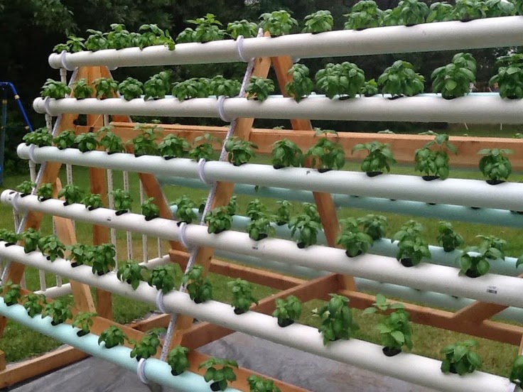  desain  hidroponik bertingkat cara menanam sayuran  