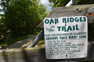 Oak Ridges Trail.