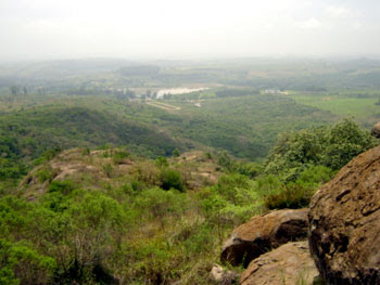 Floresta Nacional de Ipanema