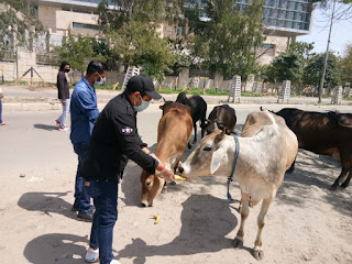 पशुओ को अब नही रहना पड़ेगा भूखा : करण बंगा 