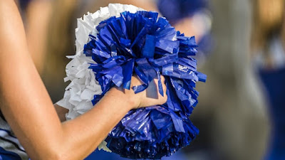 Cheer Pom Poms