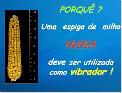 vibrador