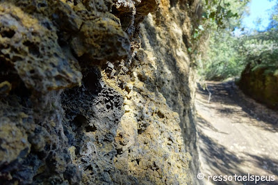 Recorrent territori de volcans III