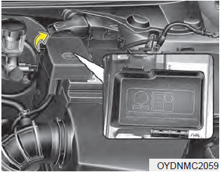 Engine room (Battery terminal cover)