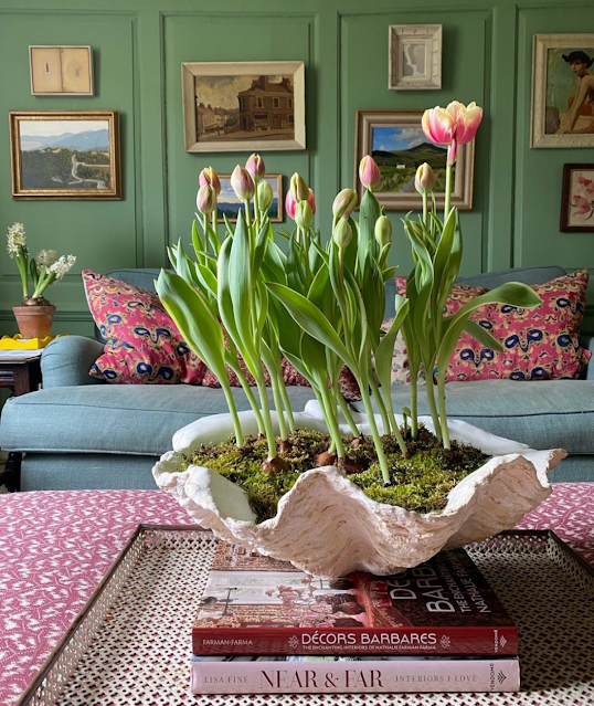 living room with potted tulips