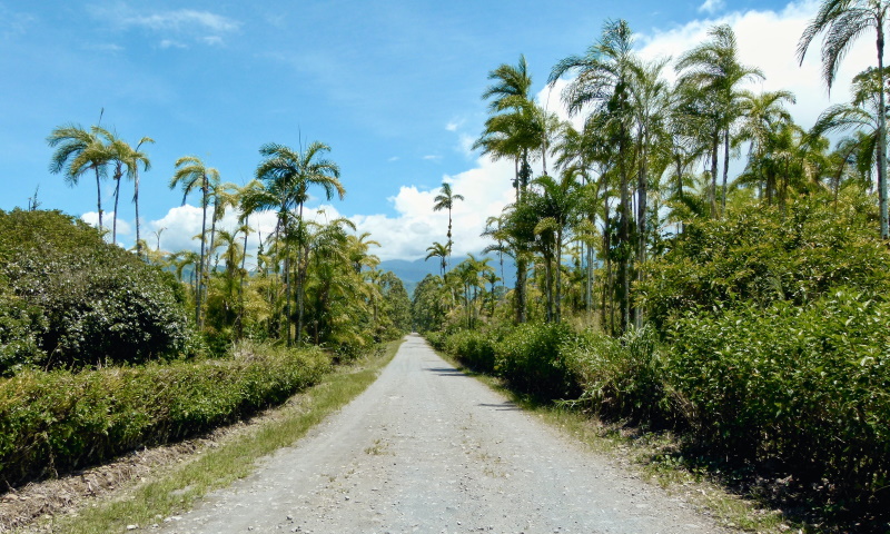 Costa Rica Motorcycle Adventure