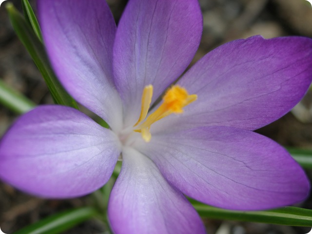 April2008 013