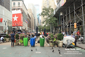 Клумбы с цветами в Нью-Йорке