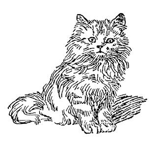 cat kitten illustration digital clipart artwork drawing image