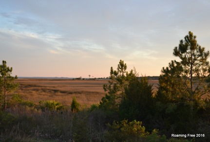 Sunset reflecting on the wiregrass