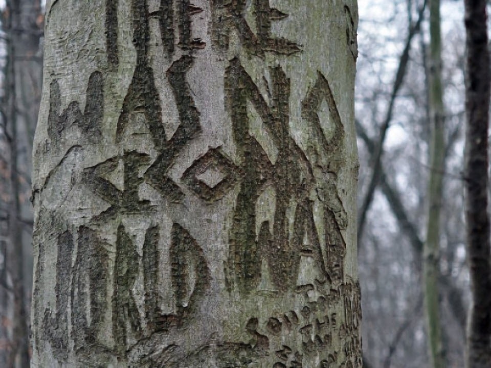 perryville-tree-engravings-4