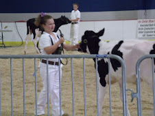 County Fair 12