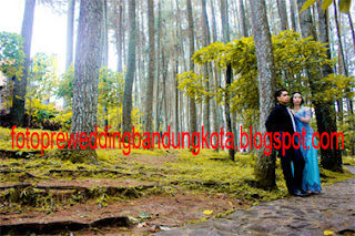 prewedbandungunik