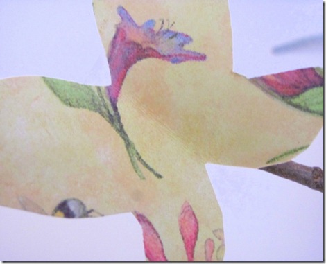 butterfly2