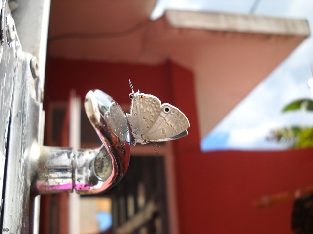 DSCN5210_2