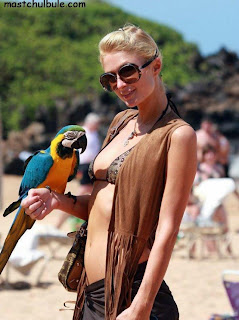 Paris Hilton in the beach