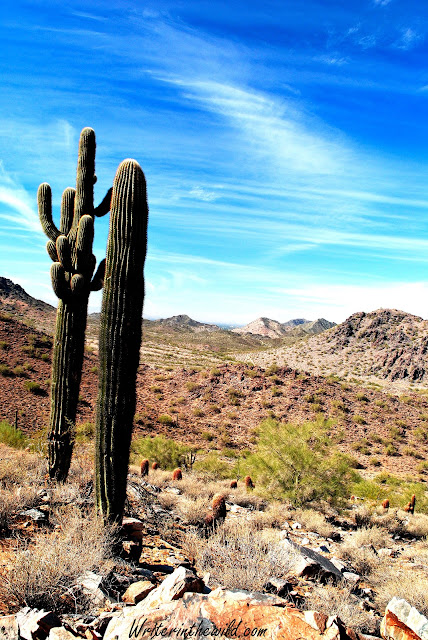 Phoenix Mountains Preserve