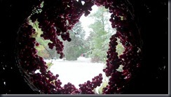 VID01085