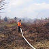 Adakah Jurus Jitu Memadamkan Kebakaran Hutan Dan Lahan Gambut?