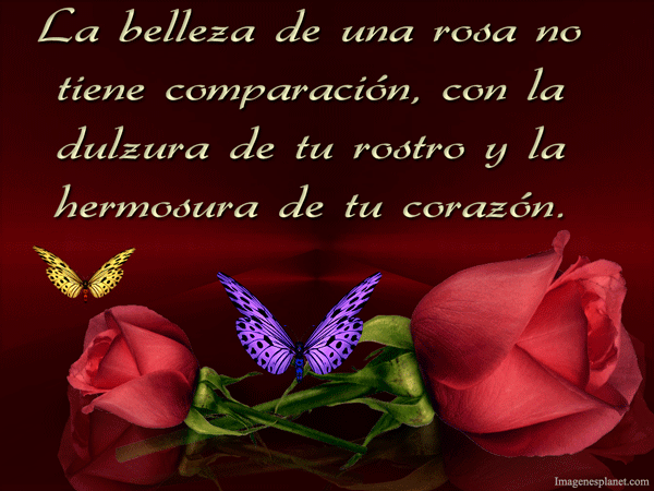 amor blogdeimagenes (8)