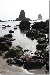 haystack3