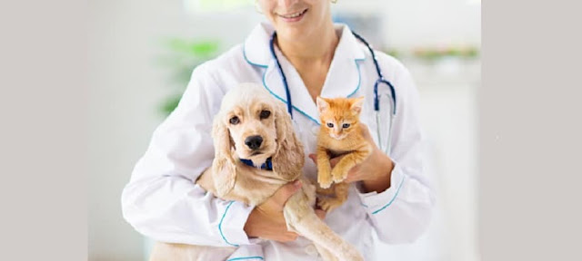 https://www.coherentmarketinsights.com/market-insight/animal-healthcare-market-3708