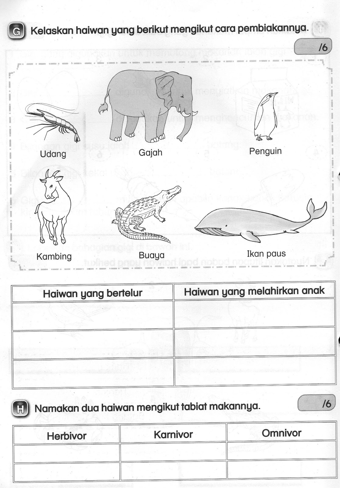 DUNIA SAINS DAN TEKNOLOGI: SOALAN SUBJEKTIF