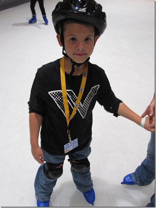 wenskater