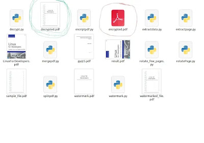 a PDF file has decrypted using a python program