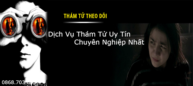 Thám tử Bình Dương