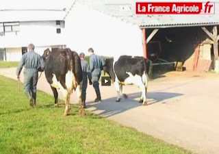 Cliquez sur l'image pour accéder à la vidéo de la France Agricole