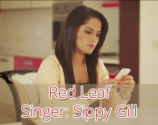 Red Leaf - Sippy Gill