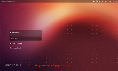 Ubuntu 12.10