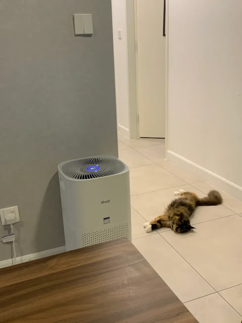 Levoit Core 600S Smart True HEPA Air Purifier