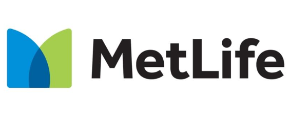 MetLife Insurace — Insurance Company Review