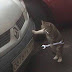 Автомонтьор