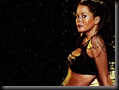 Brooke Burke Unique Desktop Wallpapers 55