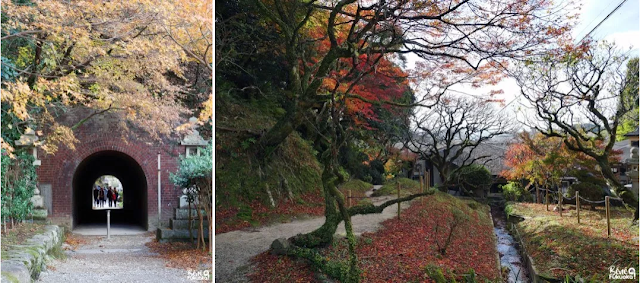 太宰府の紅葉、福岡