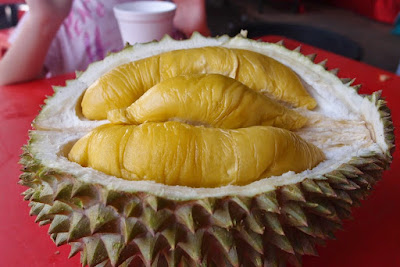 Durian Musang king