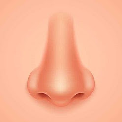 Nose (नोज)