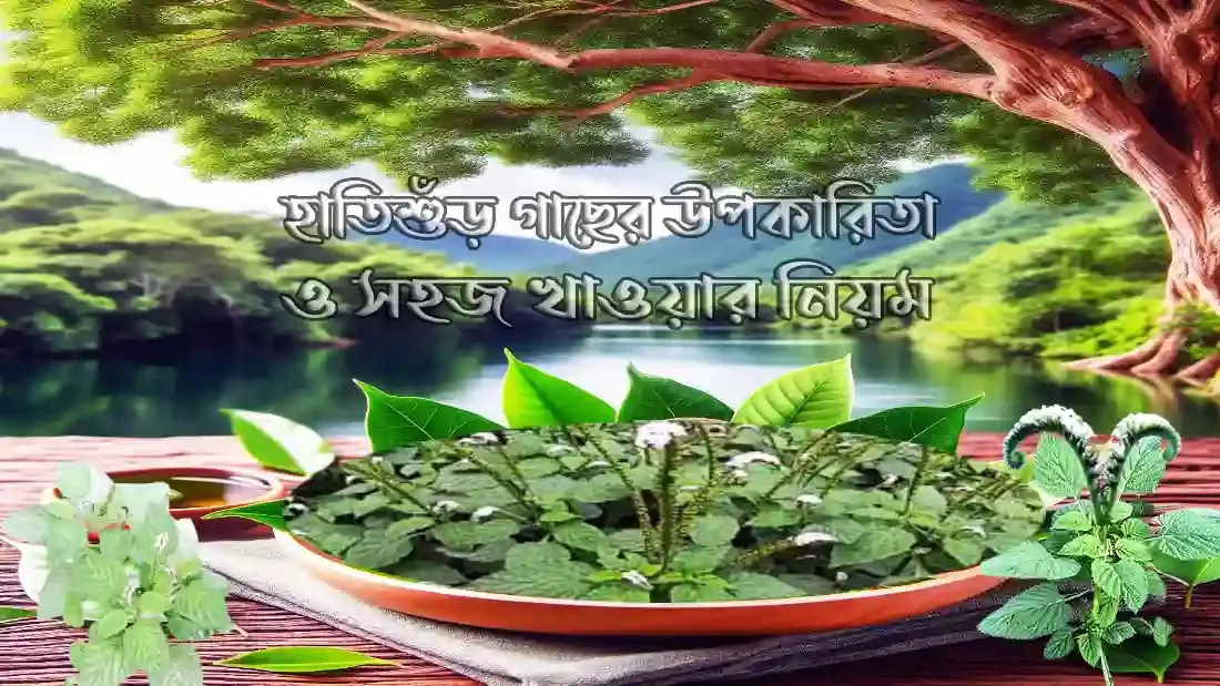 ছবি-৩