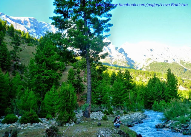 basho valley in pakistan, basho valley hotel,  skardu to basho valley distance,  basho valley skardu map,  where is basho valley skardu, basho valley