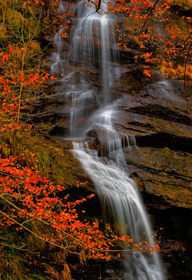 Imágenes de montañas, ríos, cascadas, paisajes y flores