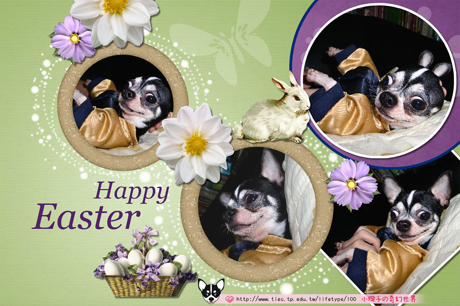 2010dog-easter03.jpg